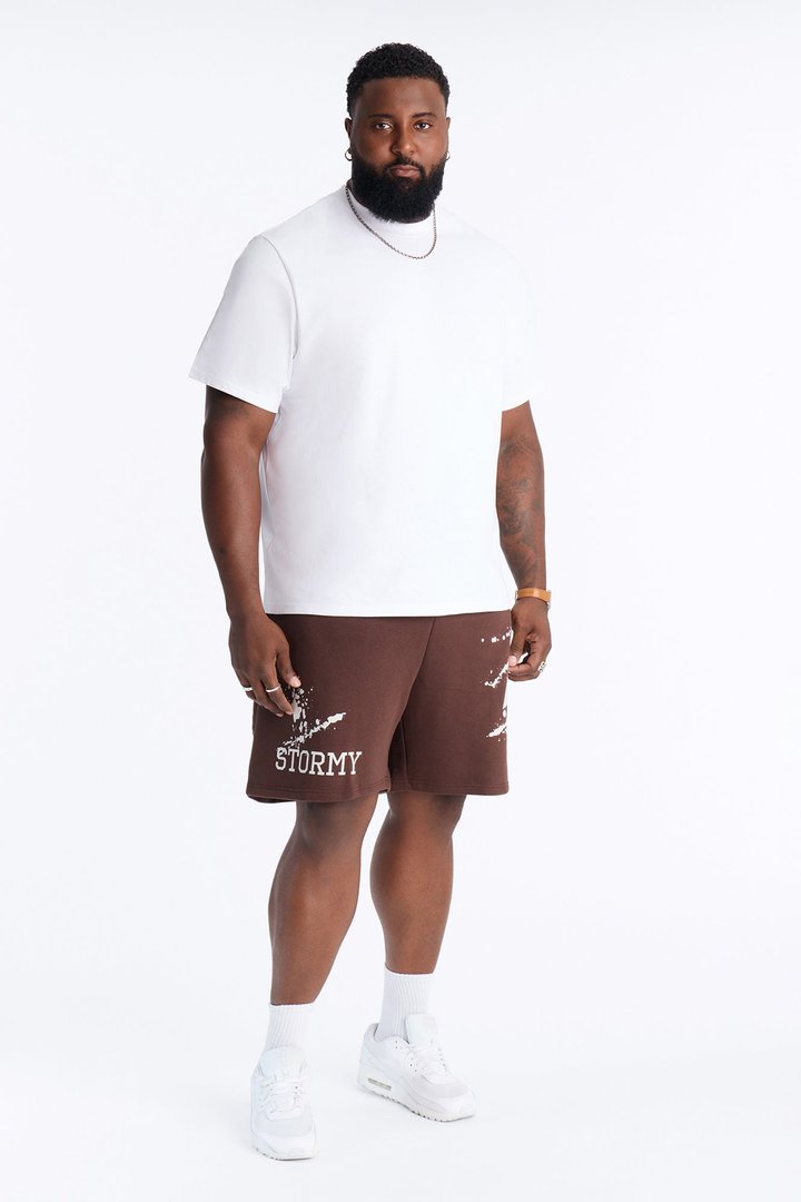 Stormy Night Relaxed Fleece Sweat Short - Brown/combo