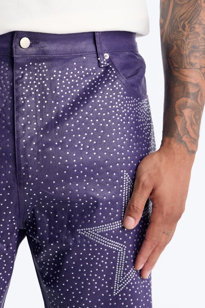 Straight Leg Astrum Faux Leather Pant - Purple