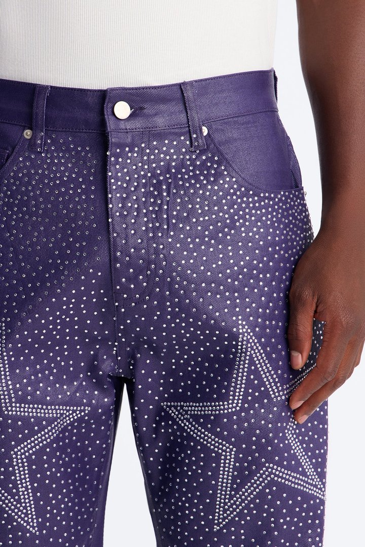 Straight Leg Astrum Faux Leather Pant - Purple