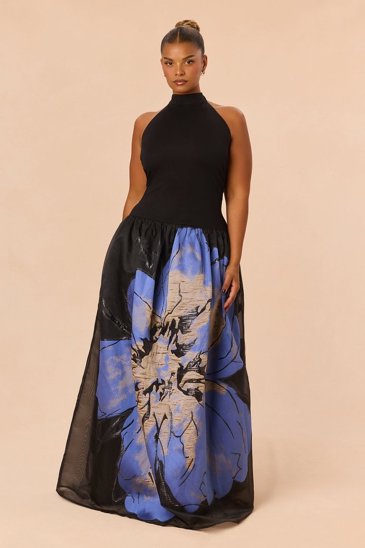 Brielle Embroidered Floral Gown - Blue/combo
