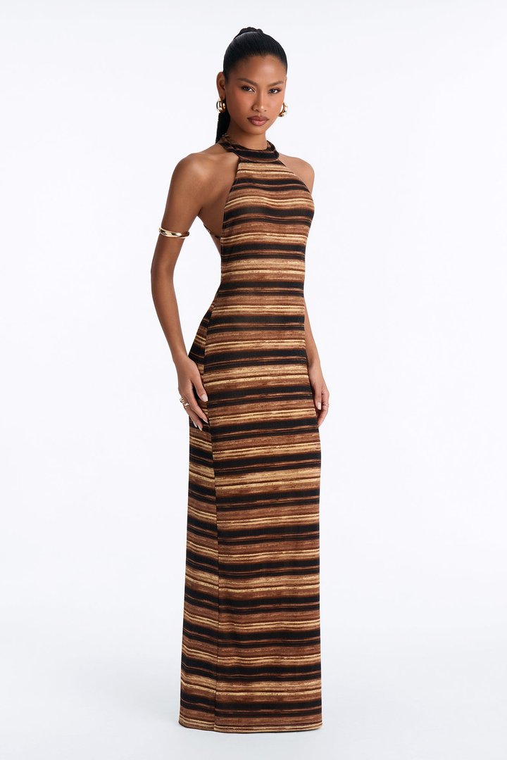Jalyn Backless Maxi Dress - Brown/combo