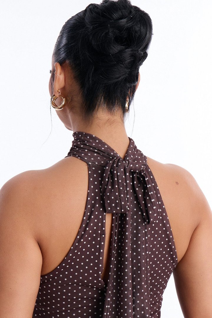Tessa Polka Dot Mesh Midi Dress - Brown/combo