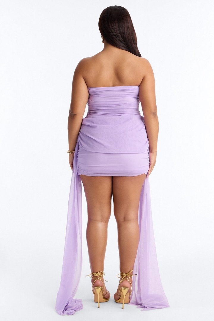 Dreamy Draped Mesh Mini Dress - Purple