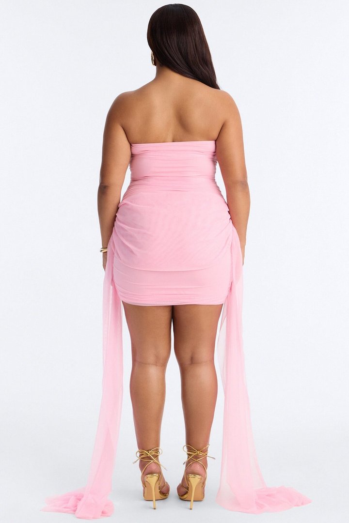 Dreamy Draped Mesh Mini Dress - Light Pink