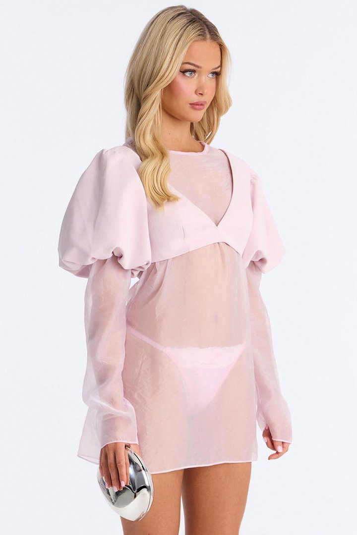 Blossom Organza Mini Dress - Light Pink