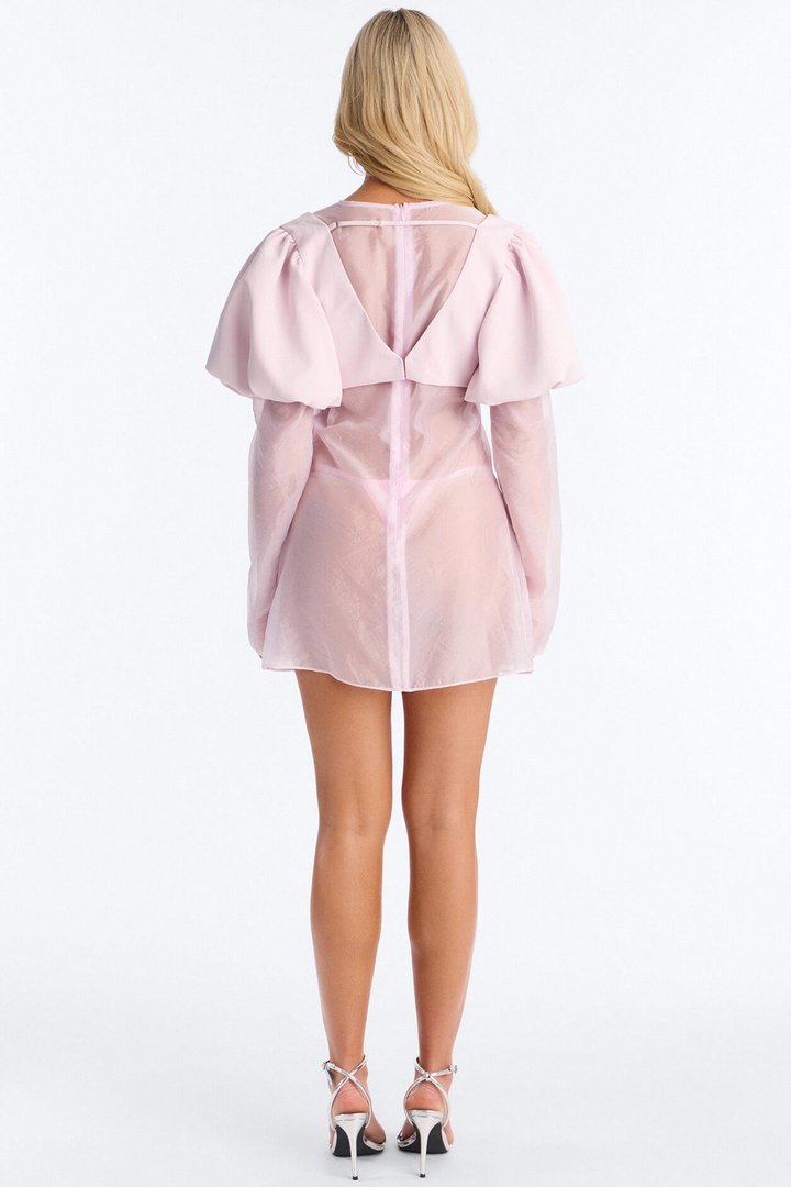 Blossom Organza Mini Dress - Light Pink