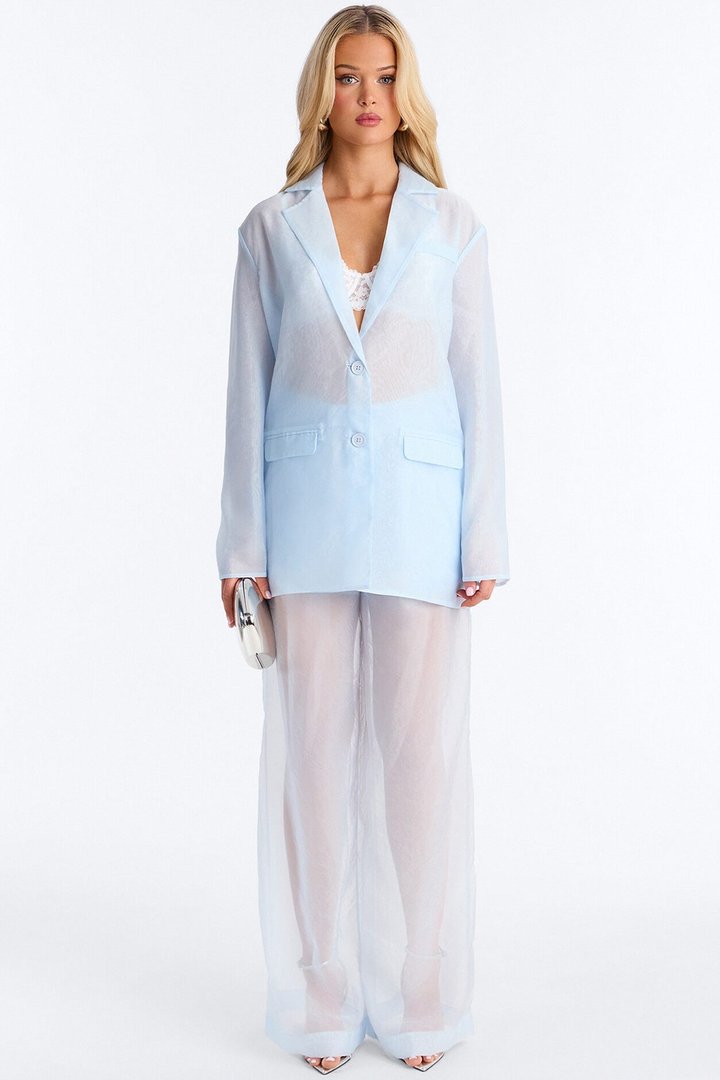 Blossom Organza Trousers - Light Blue