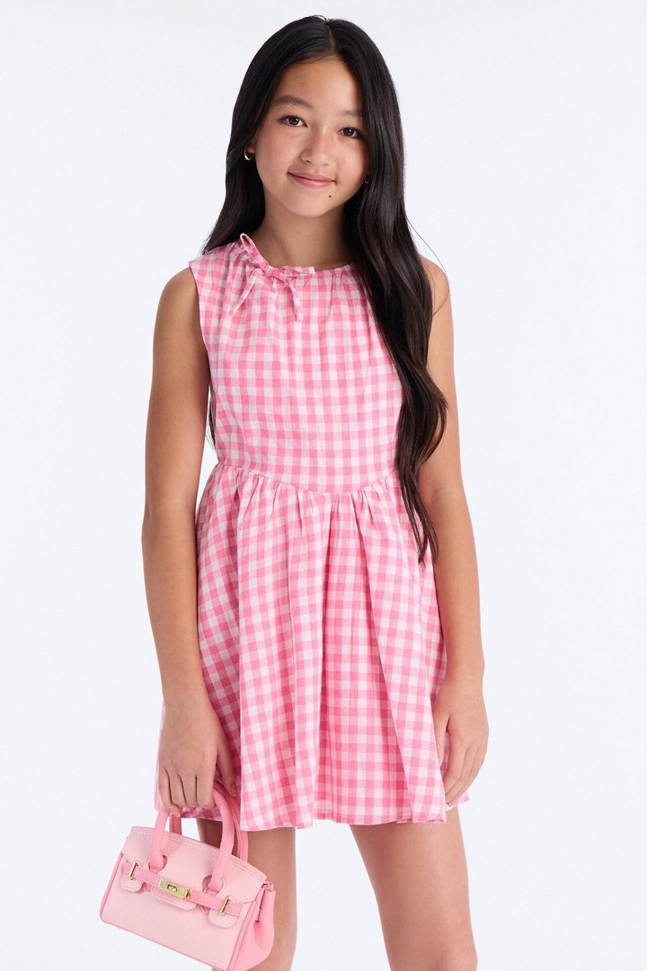 Mini What Matters Most Gingham Dress - Pink/combo