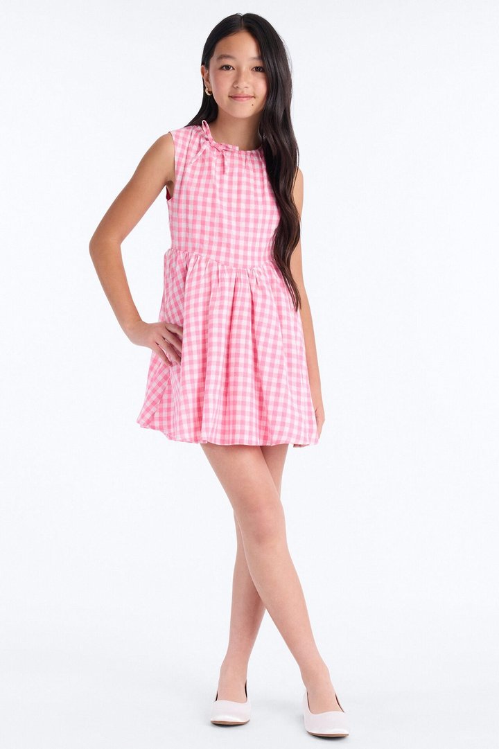 Mini What Matters Most Gingham Dress - Pink/combo