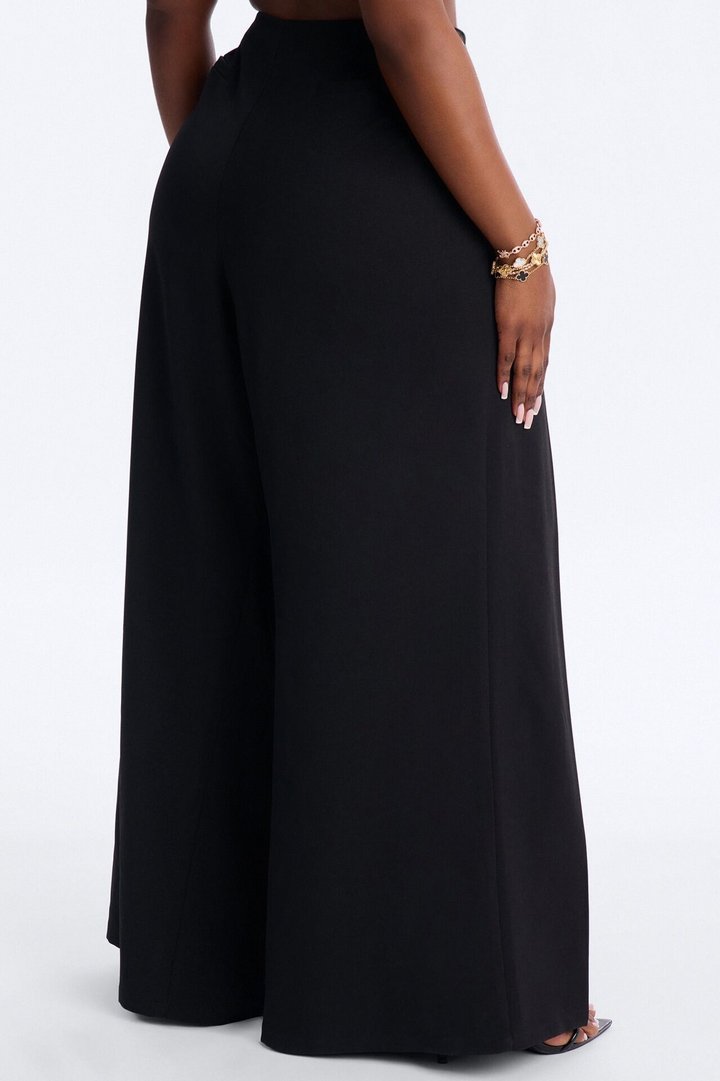 Stevie Low Rise Front Pleated Wide Leg Trouser Pant 33″ - Black
