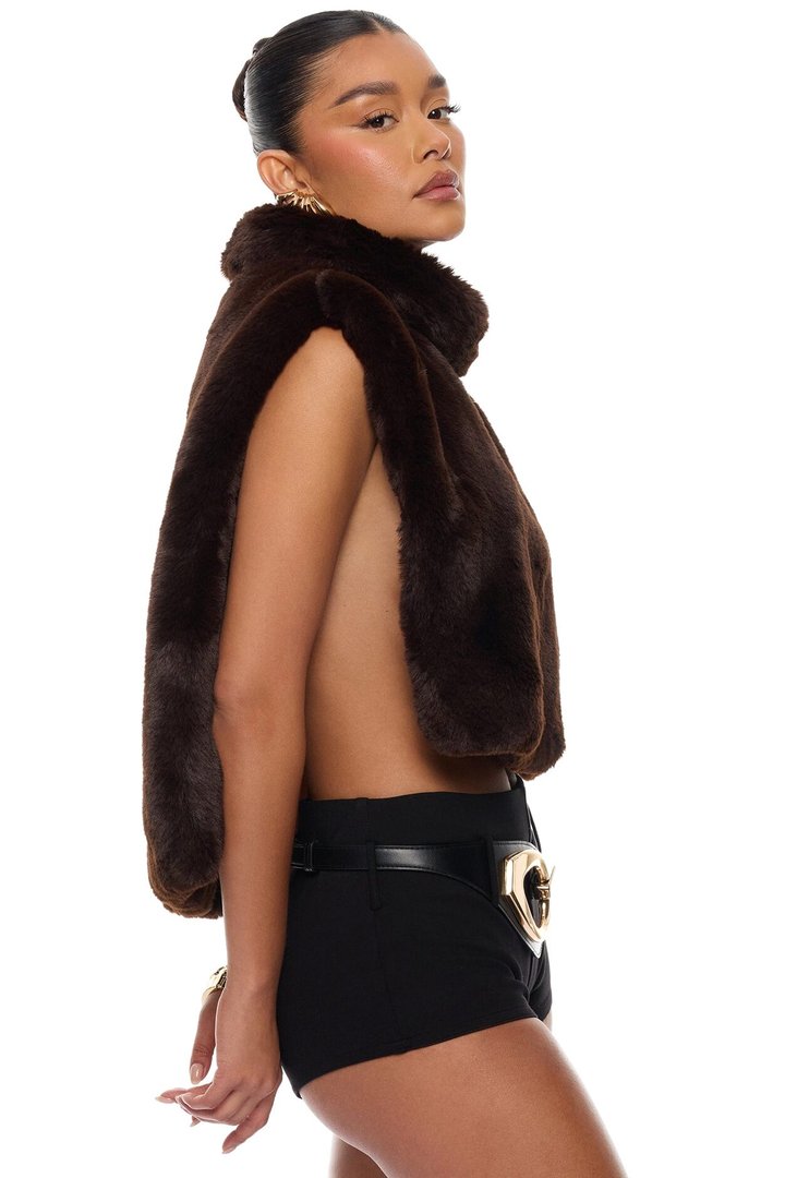 At The Slopes Faux Fur Vest - Brown