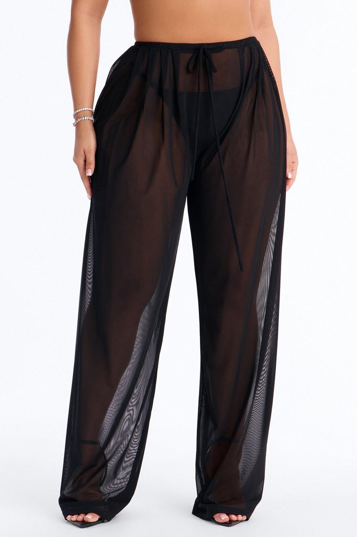Staying In Mesh Pleated Wide Leg Pant - Black