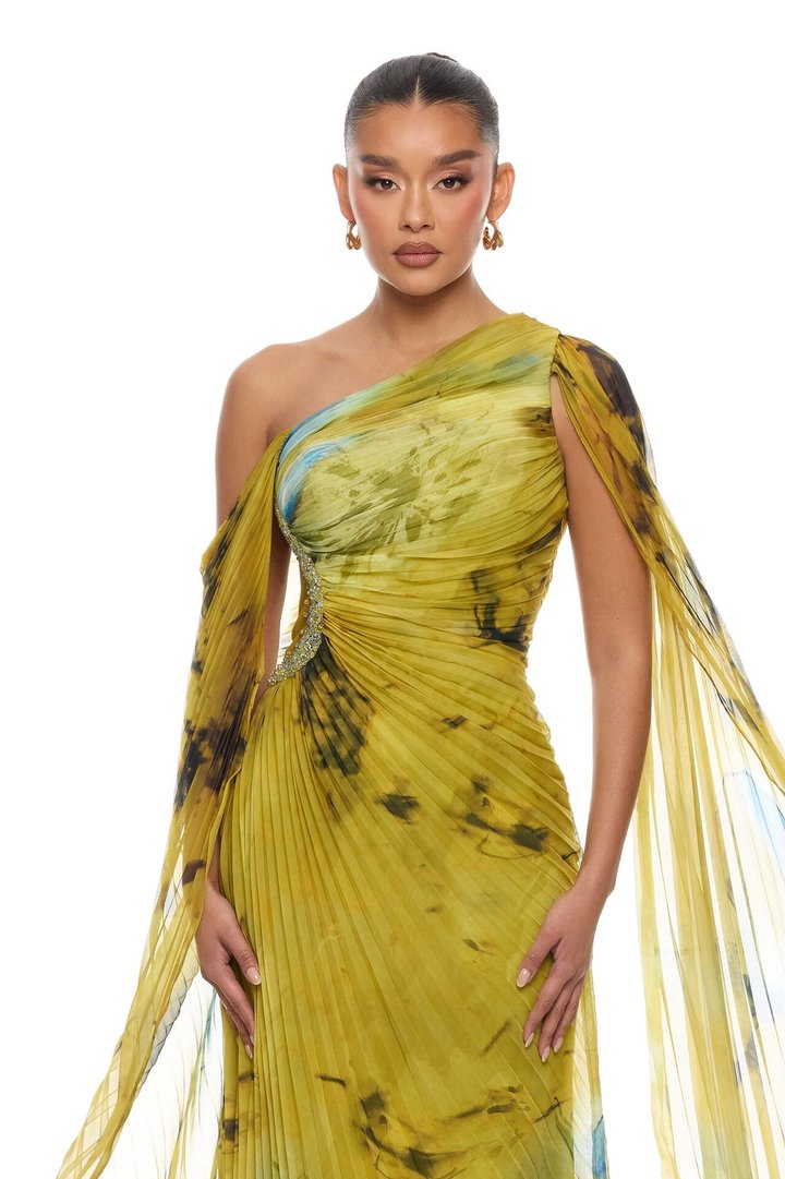 Cleo Draped Pleated Maxi Dress - Green/combo