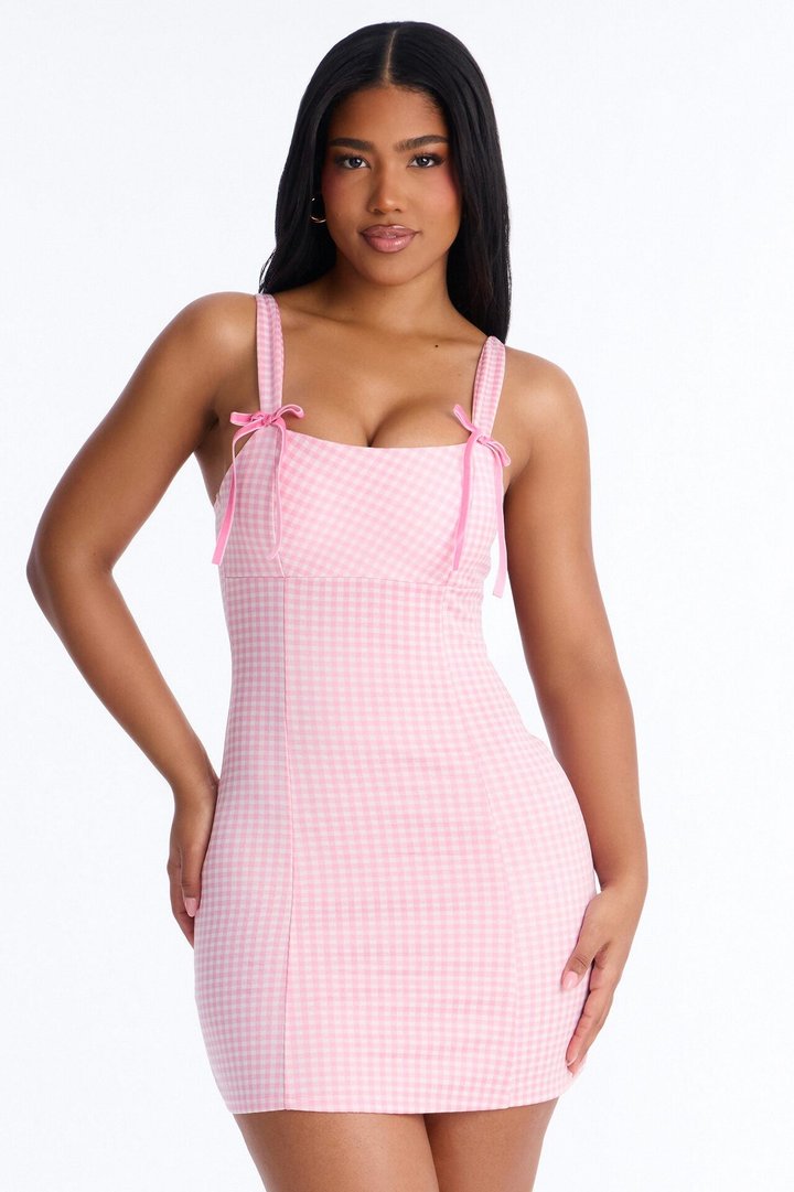 Haisley Sleeveless Gingham Mini Dress - Light Pink