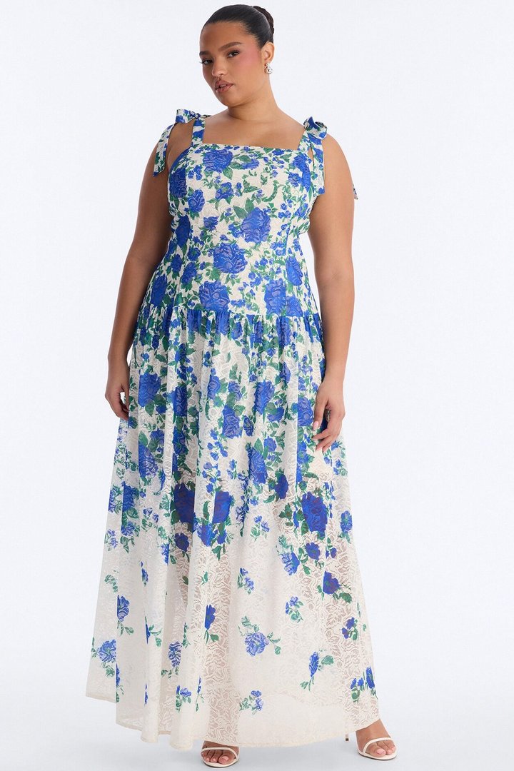 Jessinta Floral Lace Maxi Dress - Blue/combo