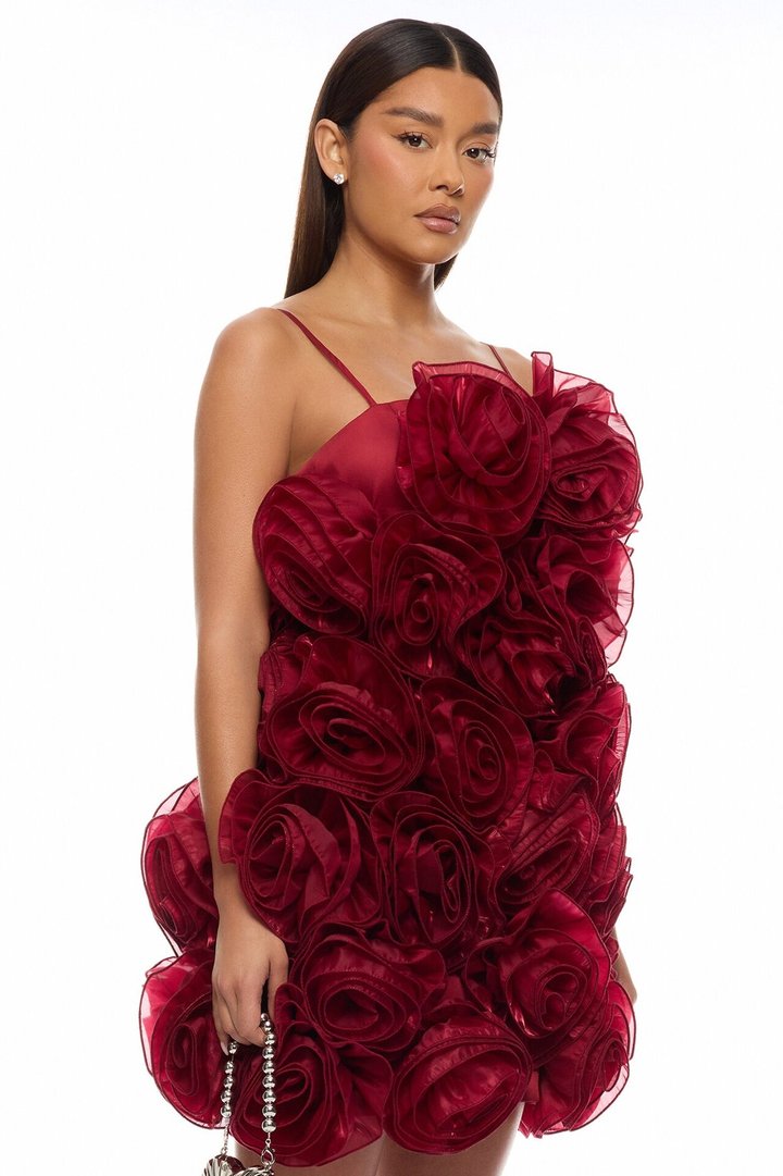 Wild Roses Floral Applique Mini Dress - Wine