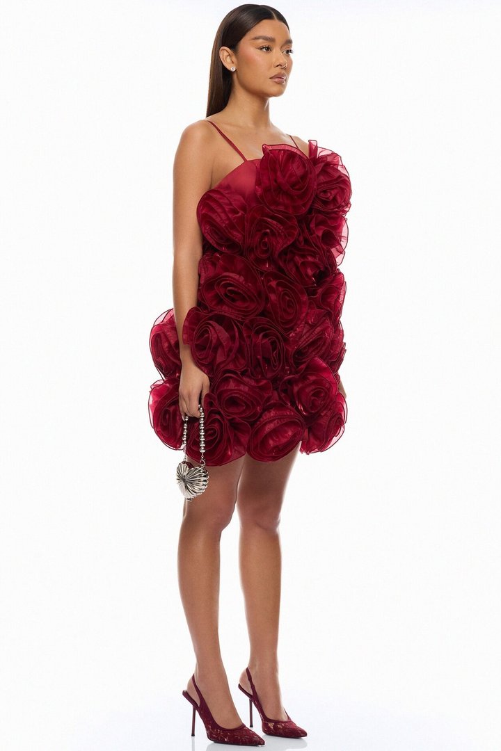 Wild Roses Floral Applique Mini Dress - Wine