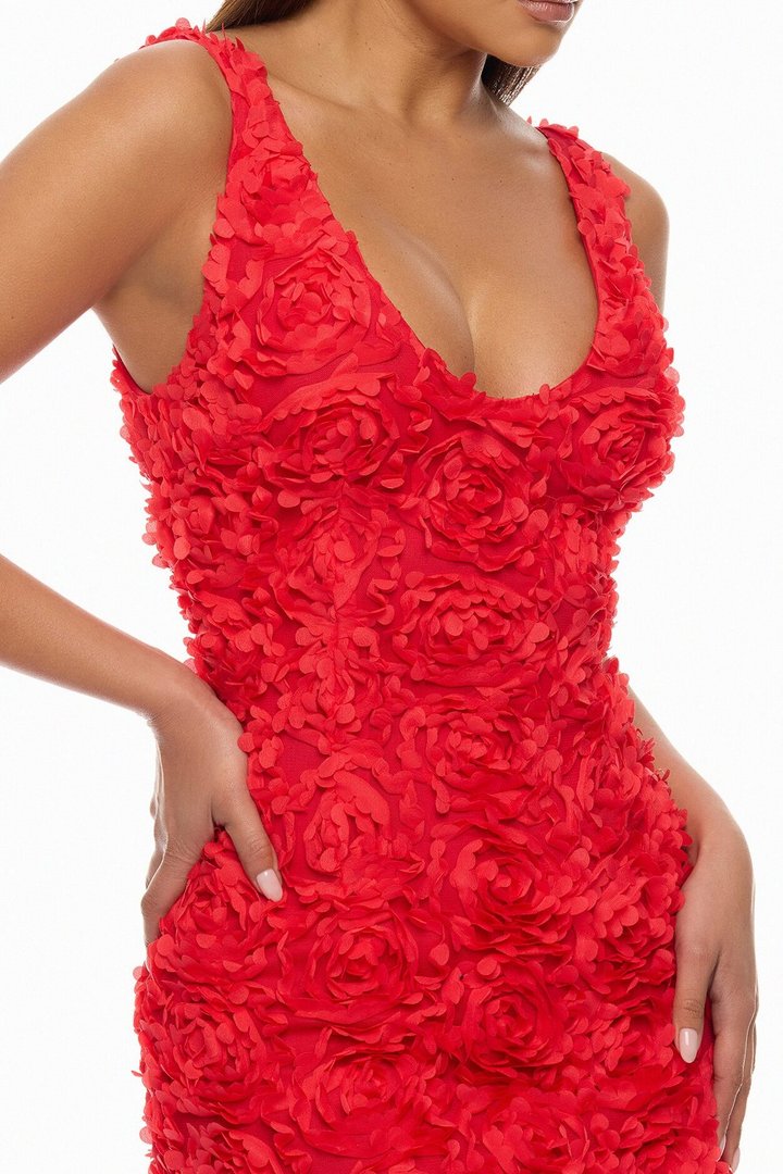 Rose Gardens Floral Applique Midi Dress - Red