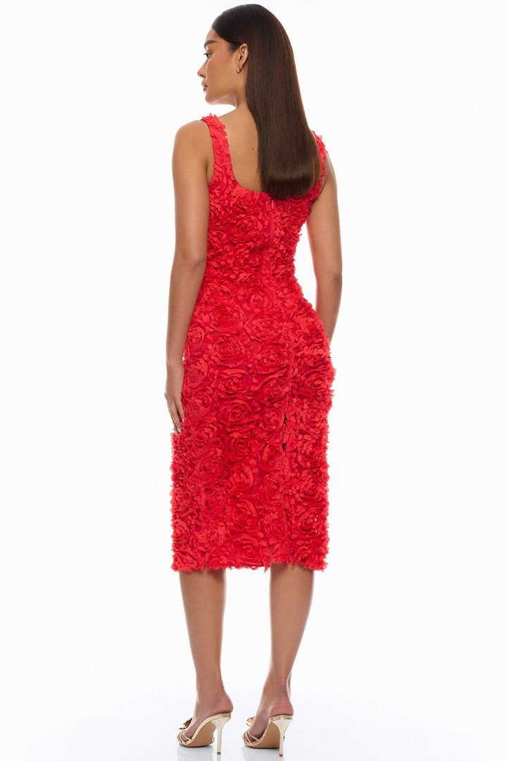 Rose Gardens Floral Applique Midi Dress - Red