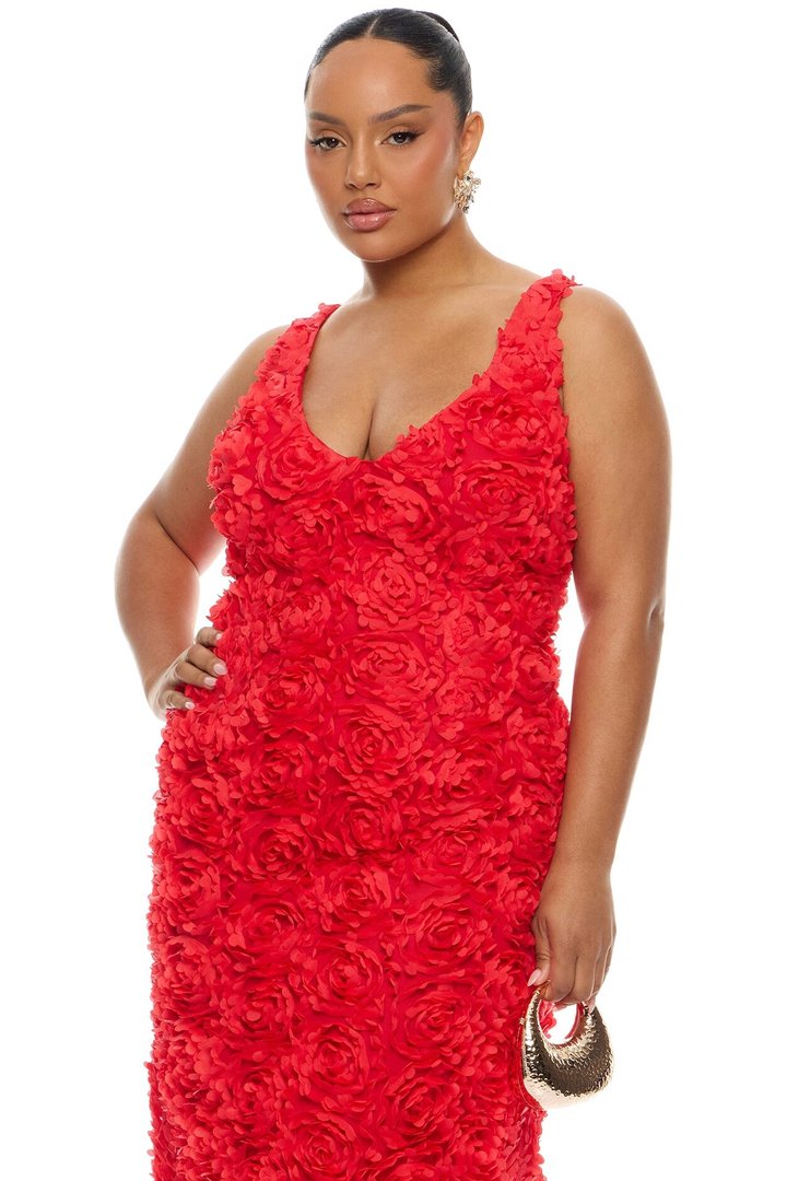 Rose Gardens Floral Applique Midi Dress - Red