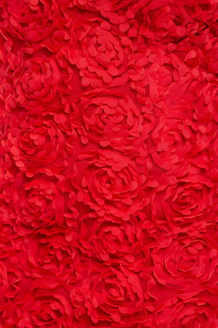 Rose Gardens Floral Applique Midi Dress - Red