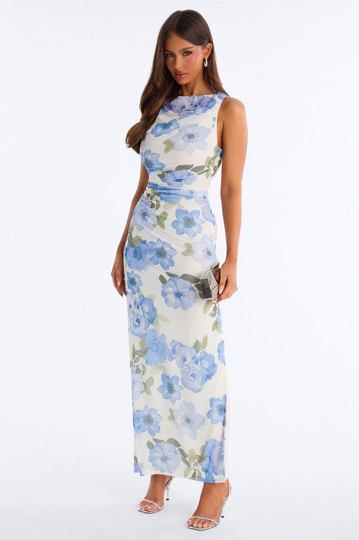 Skyla Ruched Mesh Maxi Dress - Blue/combo
