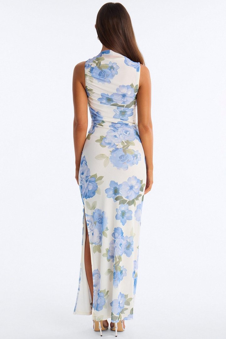 Skyla Ruched Mesh Maxi Dress - Blue/combo