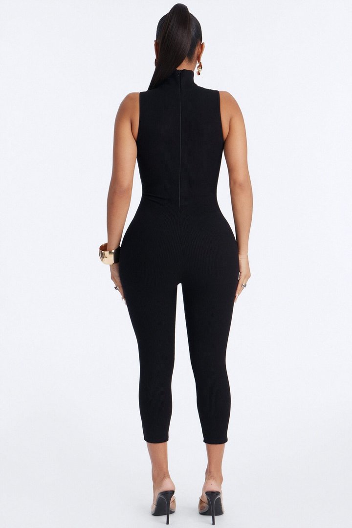 Lindsey Snatched High Neck Jumpsuit - Black