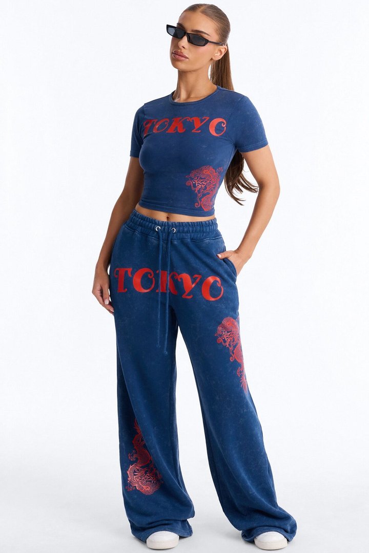 Tokyo Fleece Wide Leg Pant Set - Blue