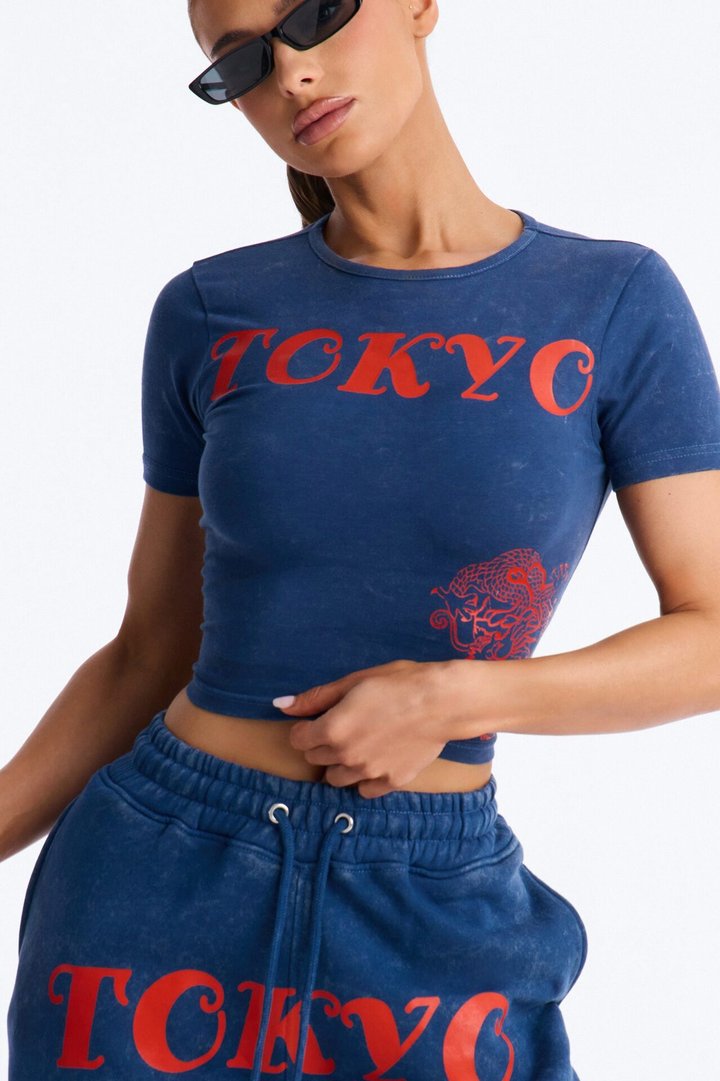 Tokyo Fleece Wide Leg Pant Set - Blue