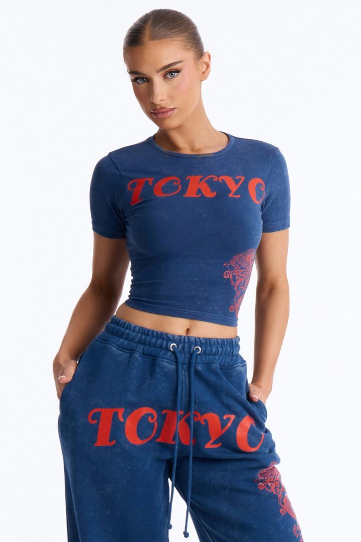 Tokyo Fleece Wide Leg Pant Set - Blue