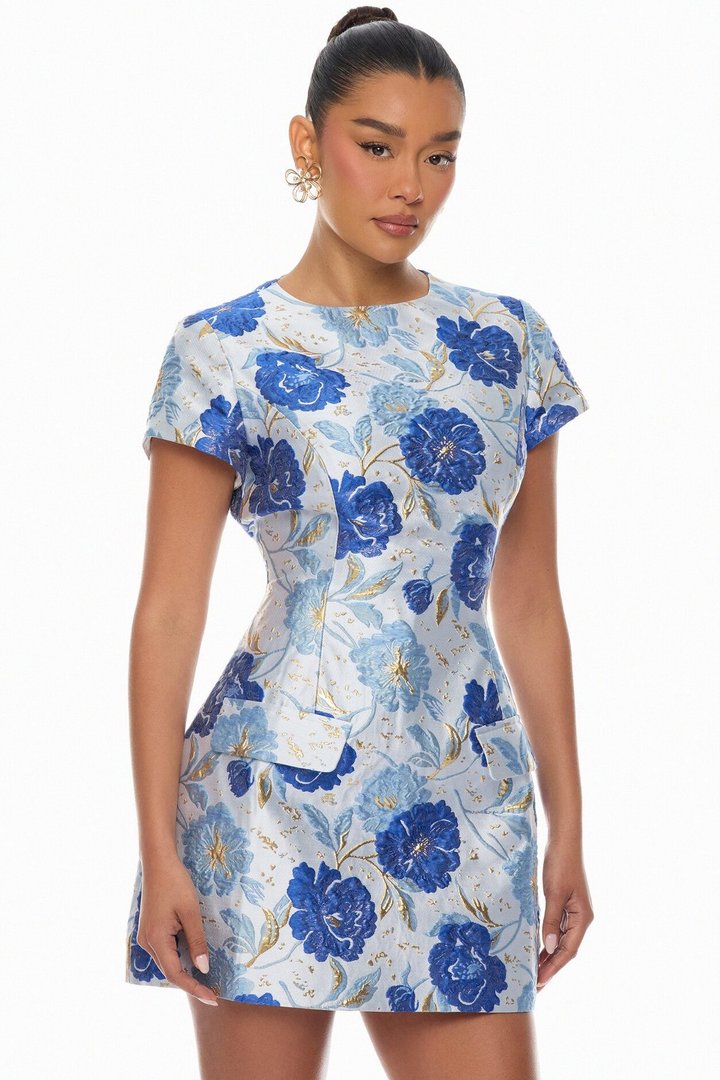 Florencia Short Sleeve Jacquard Mini Dress - Blue/combo
