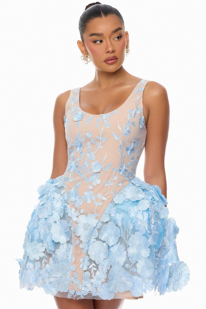 Garden Grace Floral Embroidered Mini Dress - Light Blue