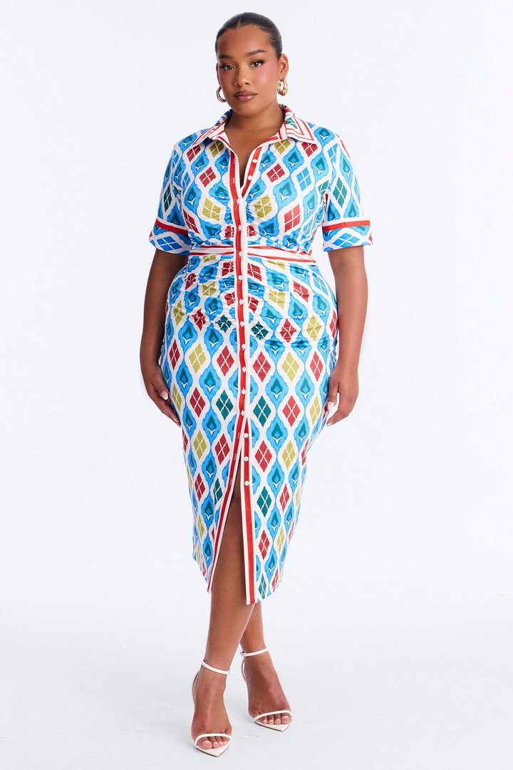 Bernadette Ruched Printed Midi Dress - Blue/combo