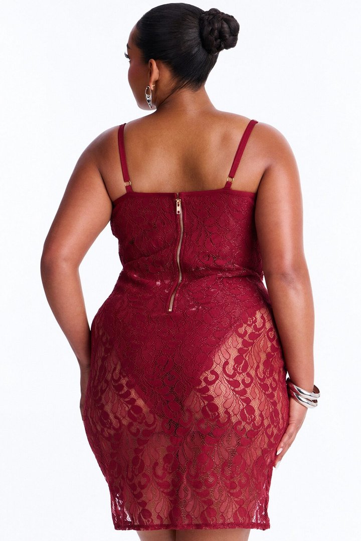 Nicole Sheer Lace Mini Dress - Burgundy