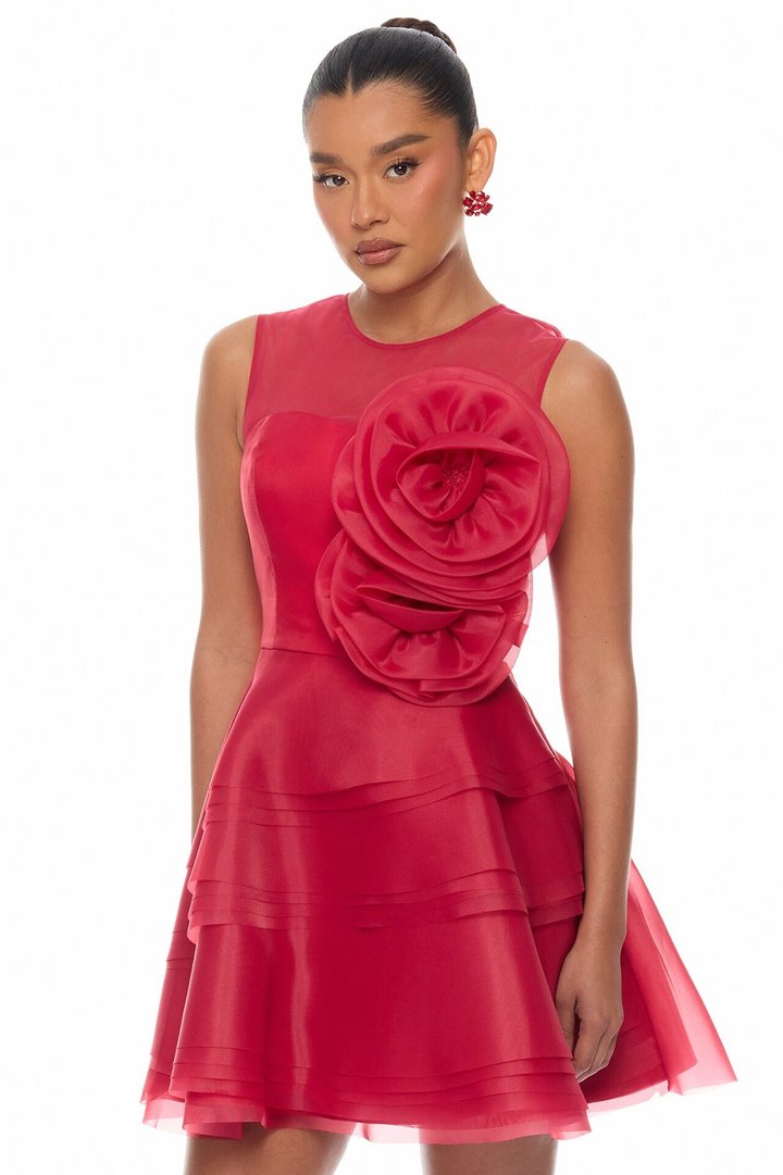 In Love Floral Applique Mini Dress - Red