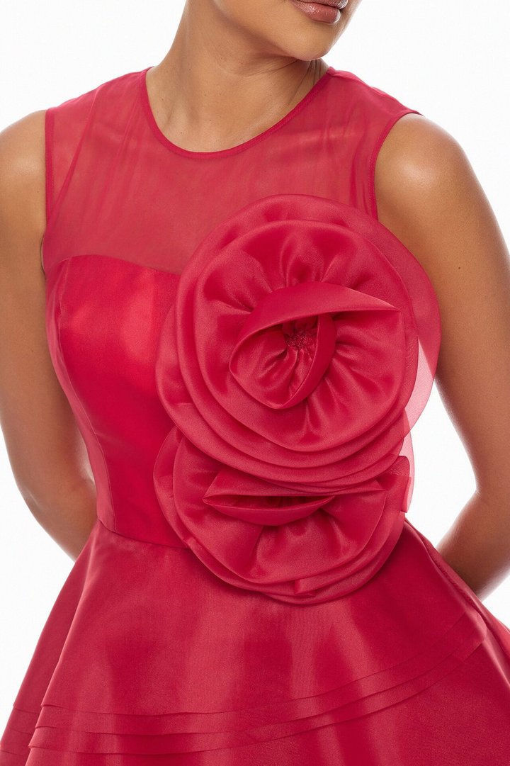 In Love Floral Applique Mini Dress - Red