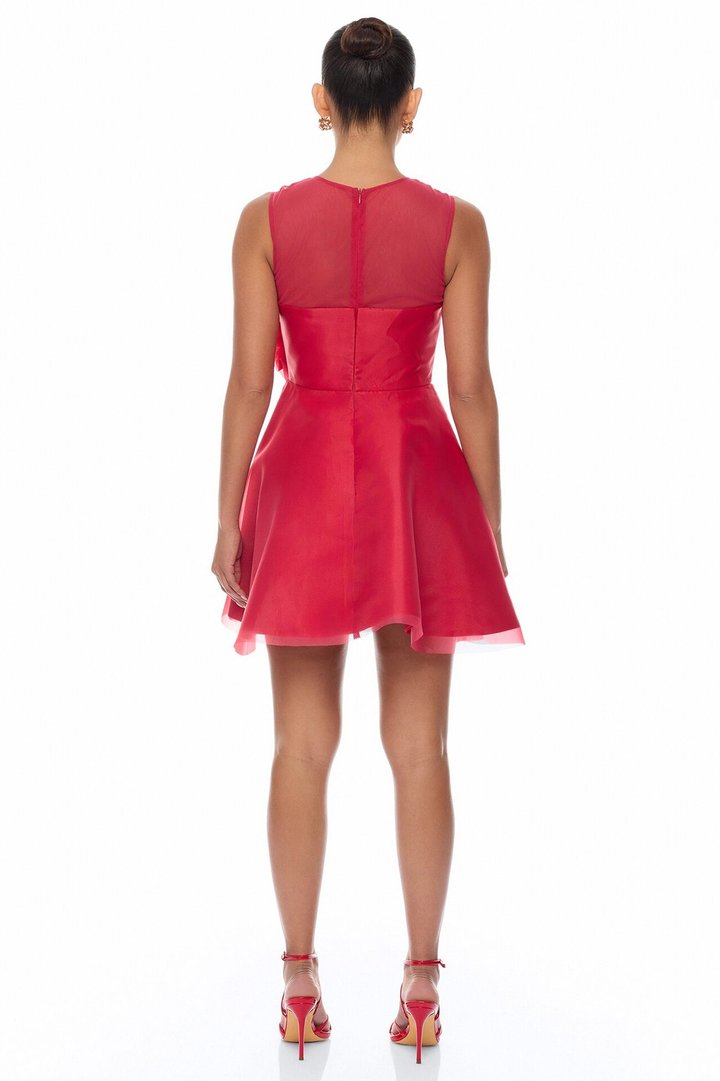 In Love Floral Applique Mini Dress - Red
