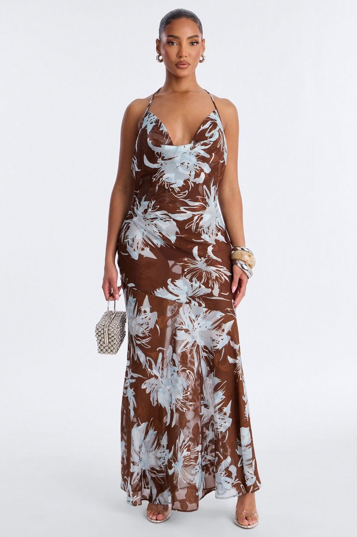 Soleil Sheer Metallic Maxi Dress - Brown/combo
