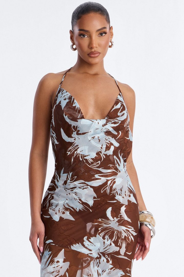 Soleil Sheer Metallic Maxi Dress - Brown/combo