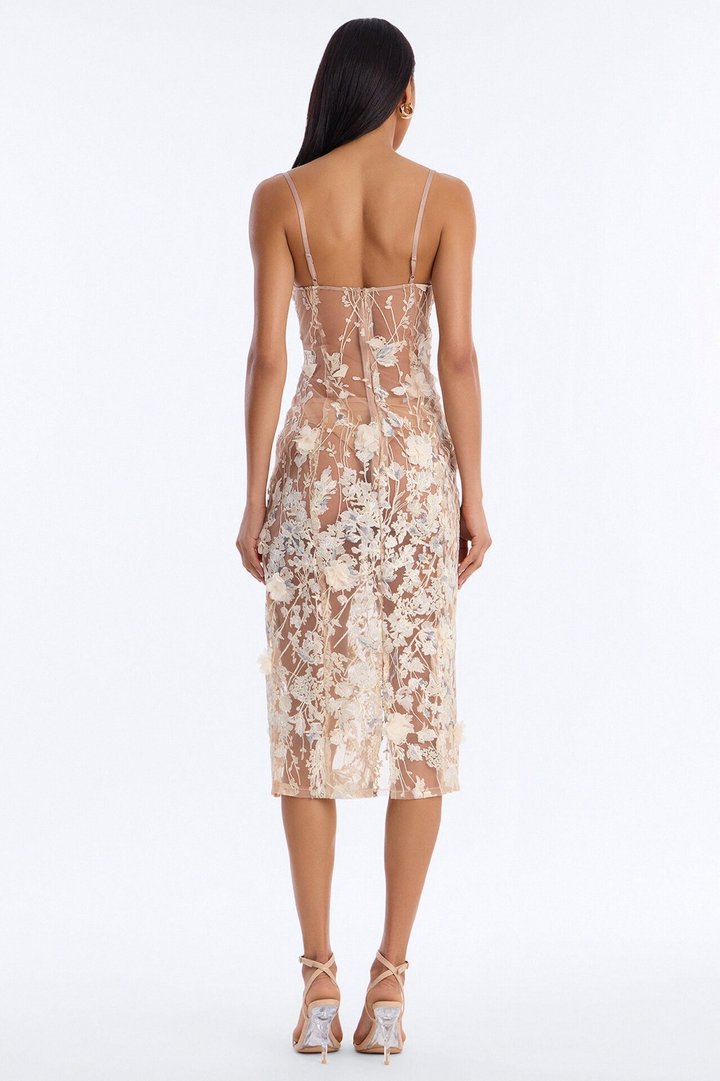 Sophia Sheer Floral Embroidered Midi Dress - Nude/combo
