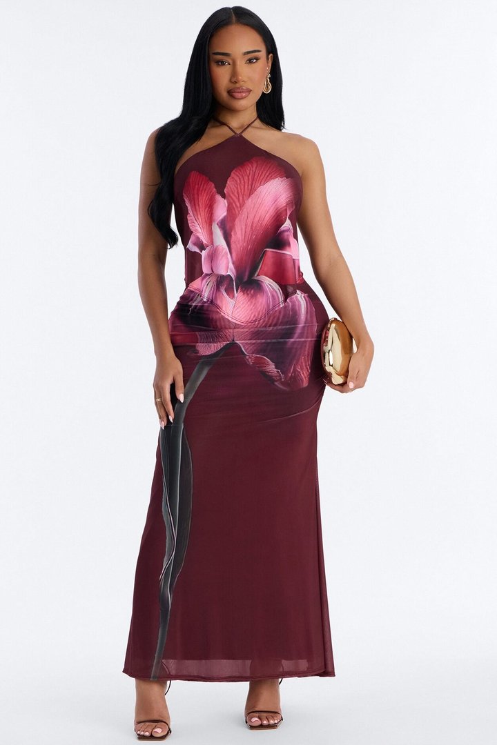 Ruthie Sleeveless Mesh Maxi Dress - Burgundy/combo