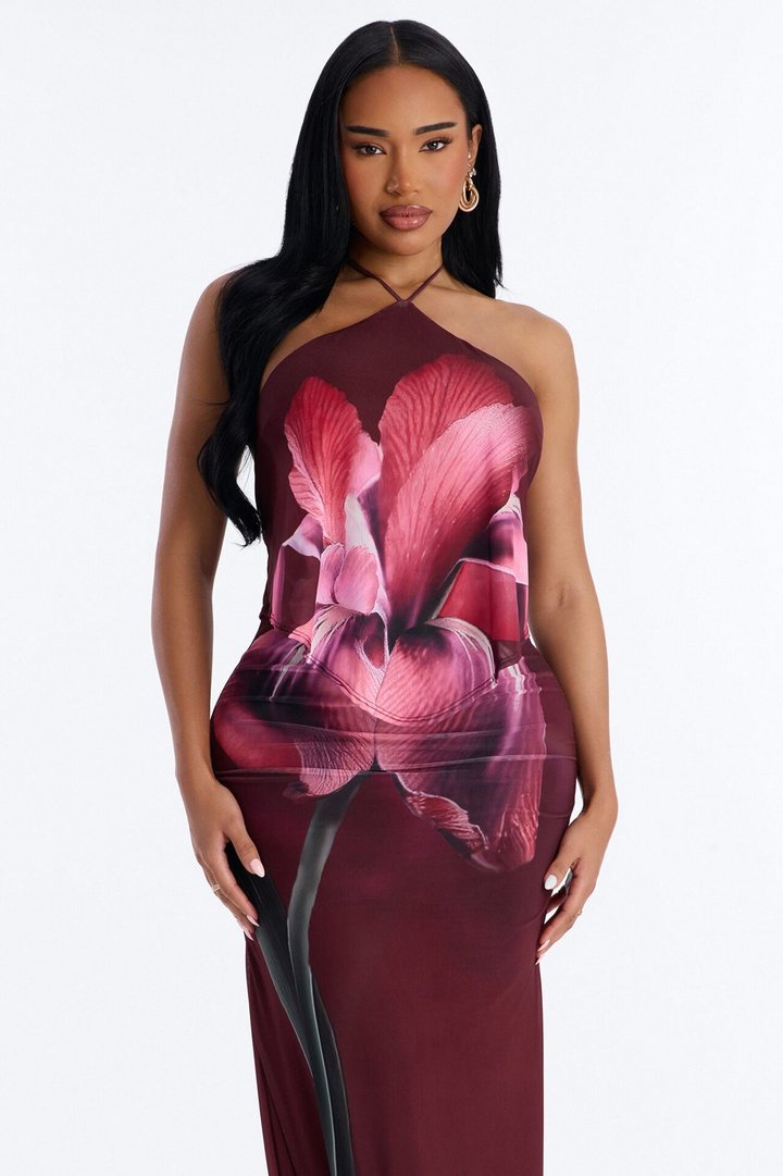 Ruthie Sleeveless Mesh Maxi Dress - Burgundy/combo