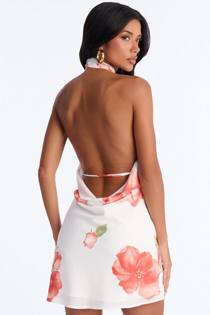 Kala Floral Chiffon Mini Dress - White/combo