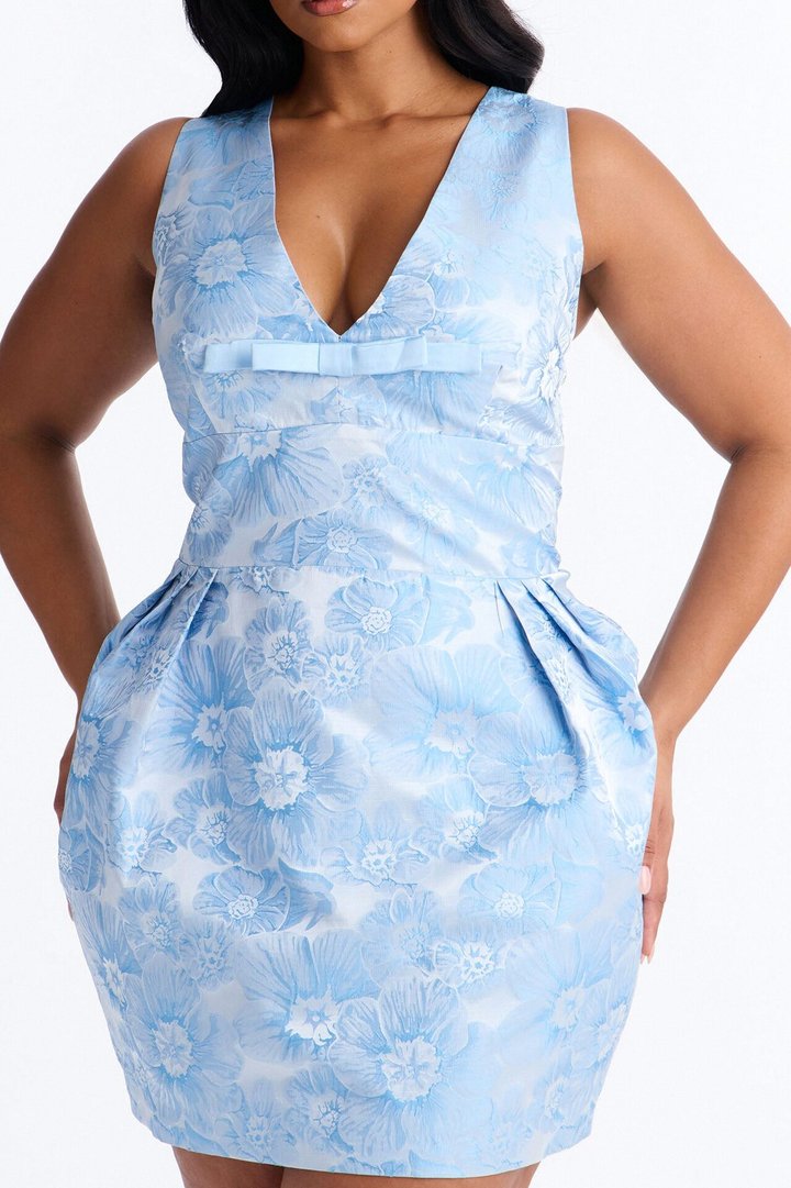 Fiona Floral Jacquard Mini Dress - Blue