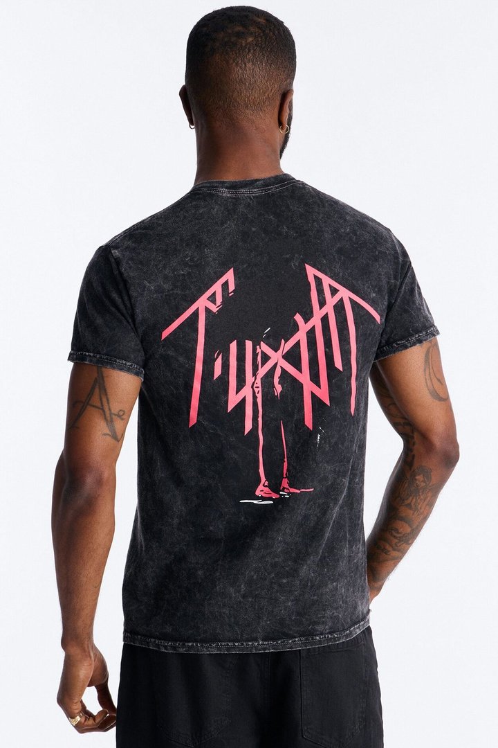 Sleep Token Flamingo Vintage Short Sleeve Tee - Black Wash