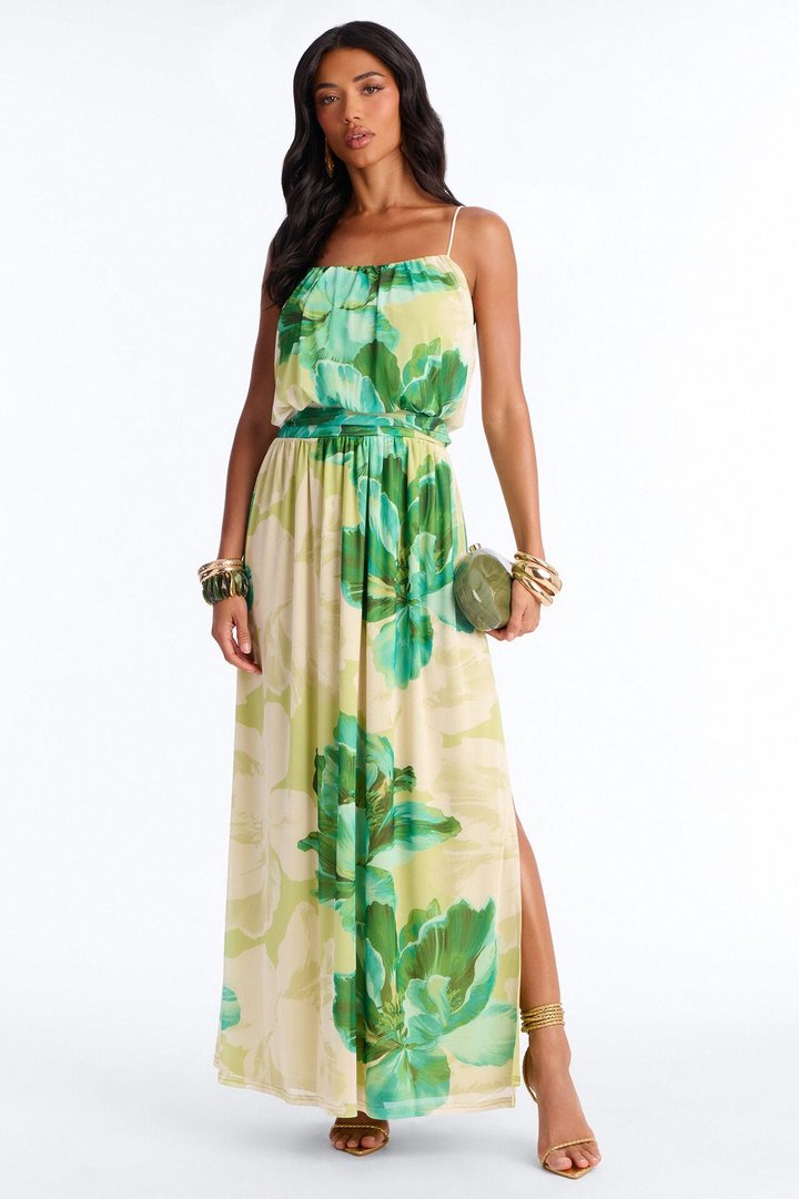 Radiant Beauty Mesh Maxi Dress - Green/combo