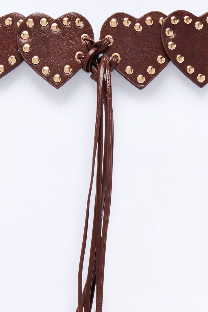 Love Lost Faux Leather Tie Belt - Brown/combo