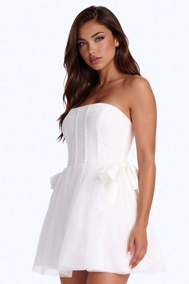 Rayna Embellished Lace Mini Dress - White