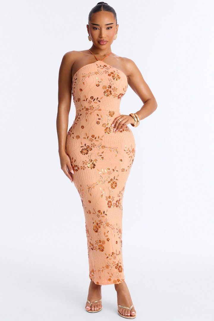 Josephine Embellished Mesh Maxi Dress - Orange